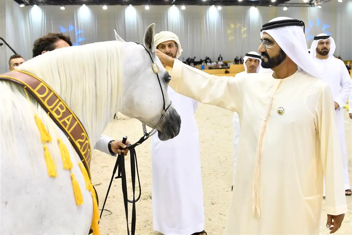 Internationale Arabische Pferdemesse Dubai