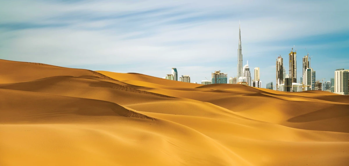 The best time for a safari in the desert