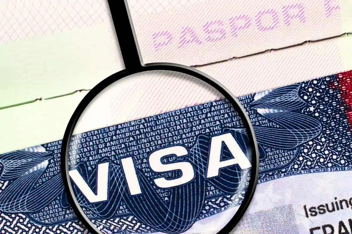 What is meant by single or multi visa?