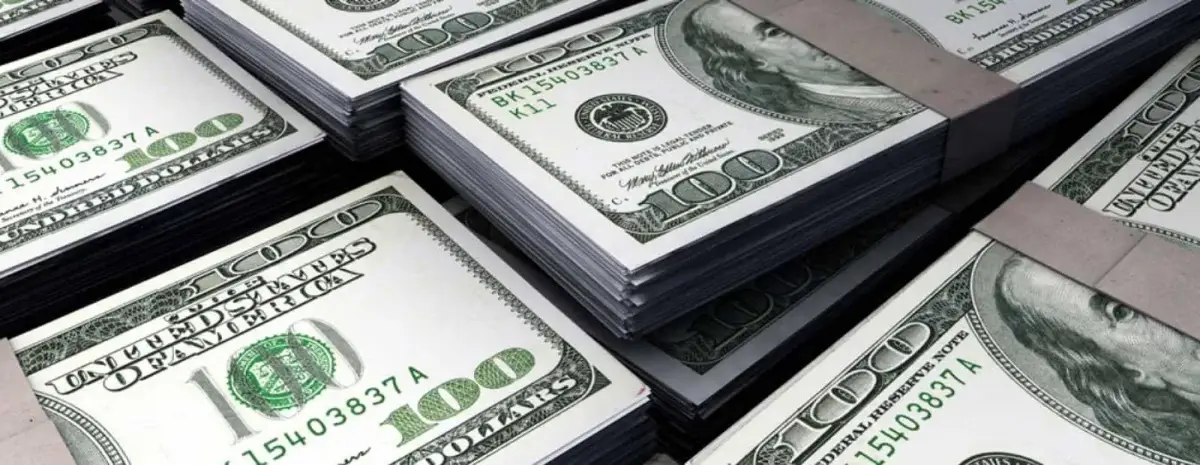 How to obtain government currency for importing goods?