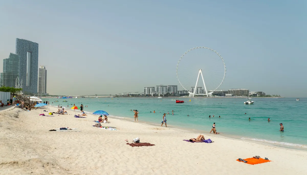 Installations et services de la marina