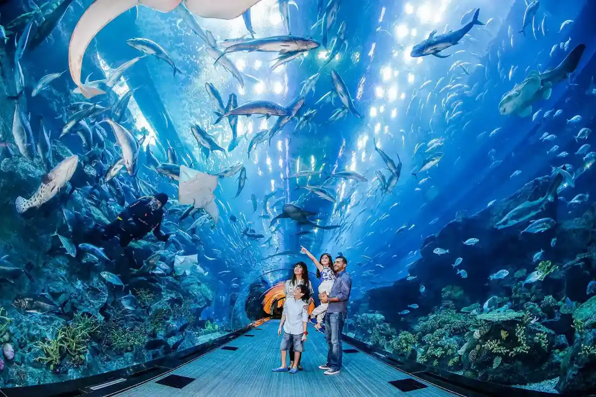 Emplacement et accès facile à l'aquarium de Dubaï