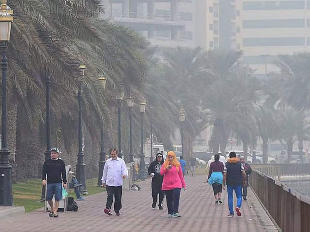 UAE의 춥고 비 오는 겨울: 기온 하락