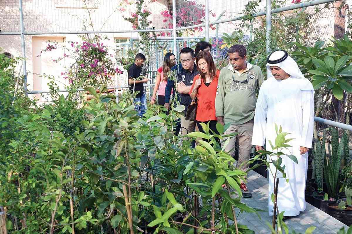 Sustainable Tourism in UAE Farms: A Unique Experience This Winter